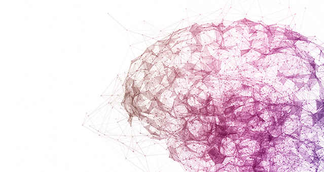 Brain Model